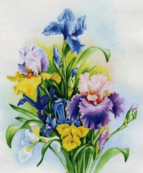 Цветной картина по номерам "Ирис и бабочка" 30х40 см