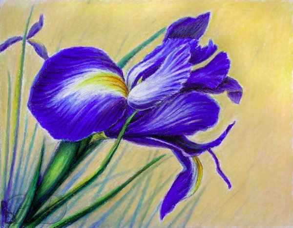 Весенние цветы акварель