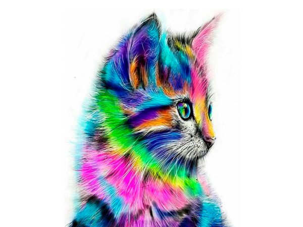 Красивые Совушки