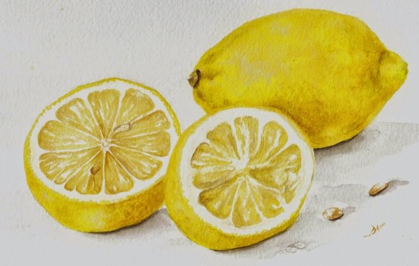 Лимон цветными карандашами