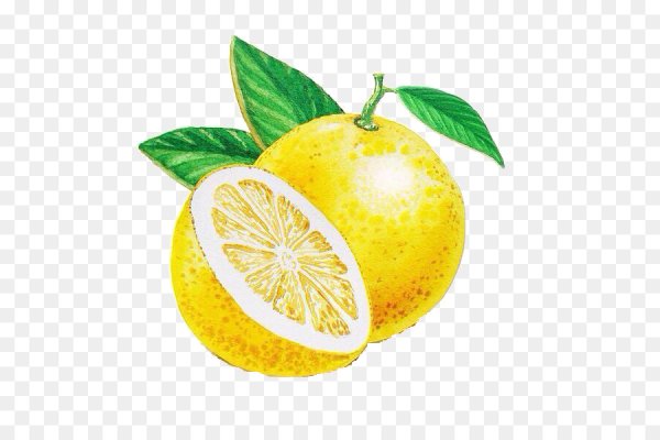 Karen Kluglein Ботаническая иллюстрация