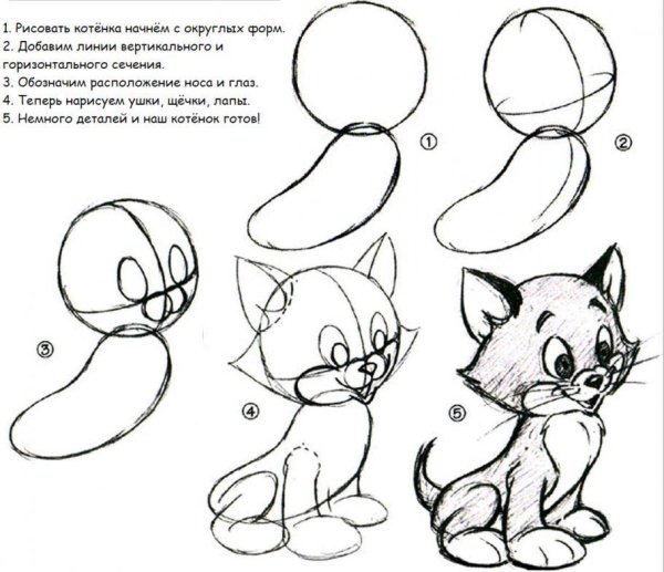 Поэтапное рисование кота для детей