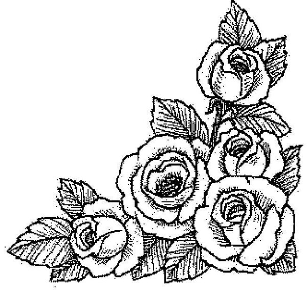 Оптические иллюзии на бумаге