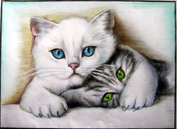 Котик рисунок