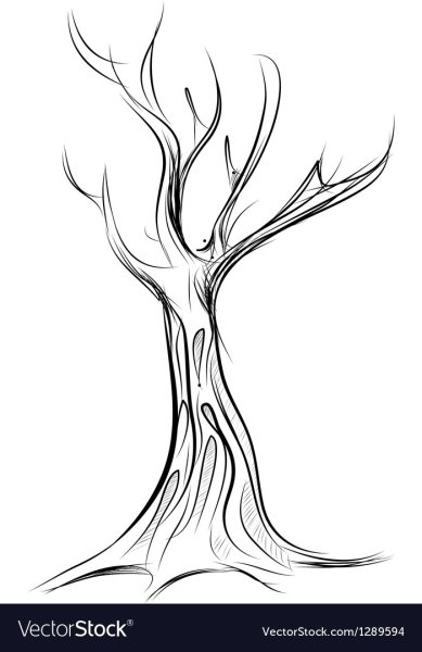 Красивый ствол дерева без листиков