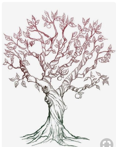 Дерево эскиз