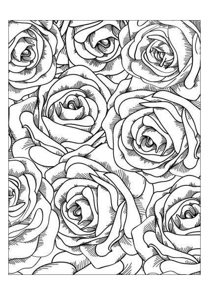 Раскраски сложные роза