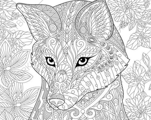 Раскраска "бабочки"