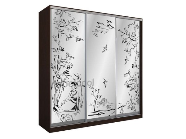 Шкаф купе в японском стиле