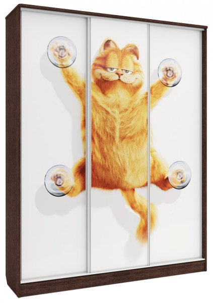 Шкаф купе с фотопечатью