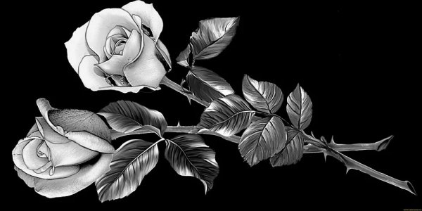 Розы для гравировки на памятниках