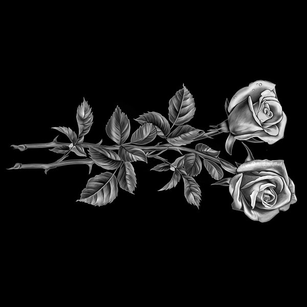 Розы для гравировки на пам