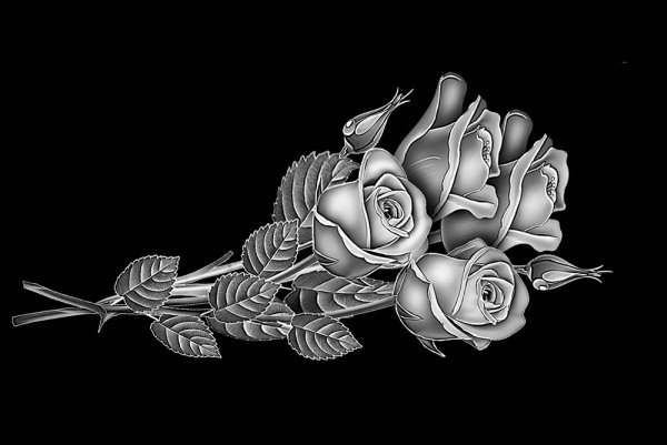 Розы для гравировки