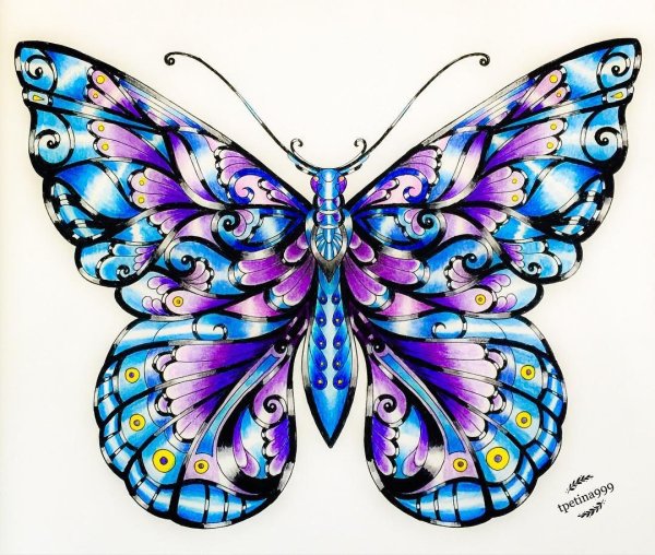 Бабочка арт