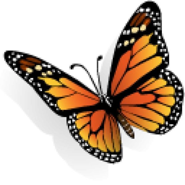 Бабочки для вырезания цветные