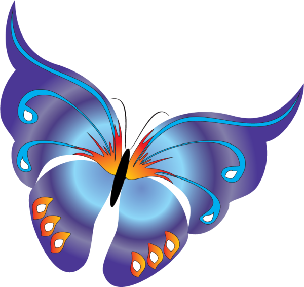 Бабочка рисунок