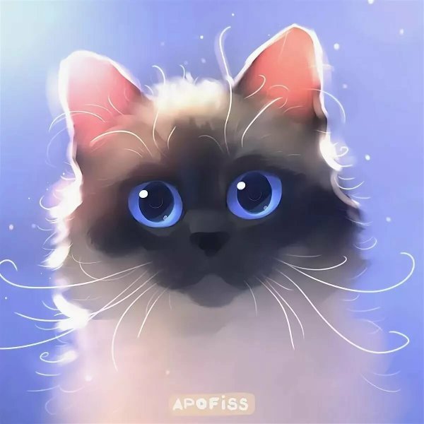 Розовый котенок