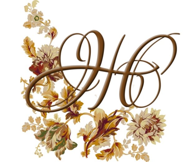 Большая буква ж