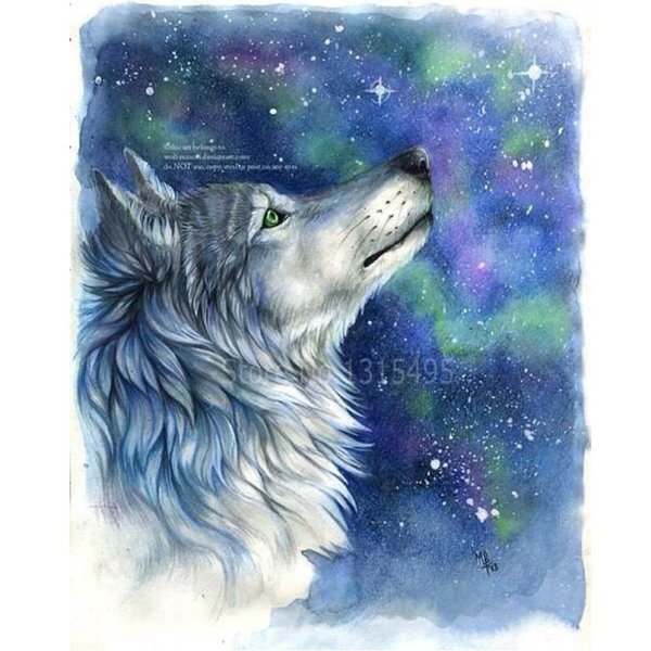 Красивые рисунки волка