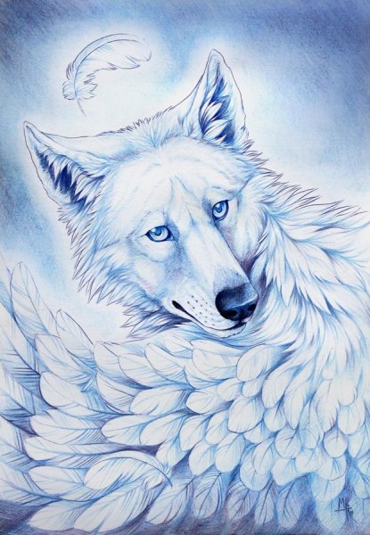 Красивые рисунки волка