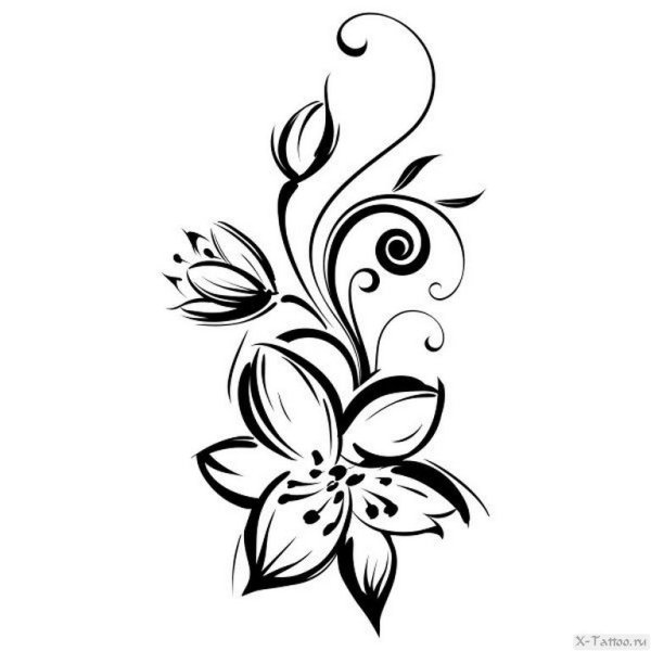 Роза для выжигания