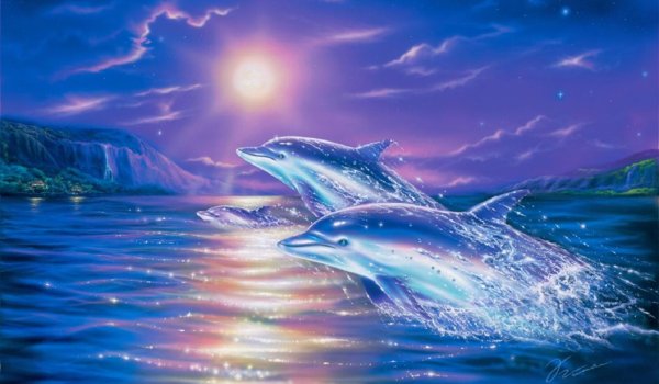 Дельфины арт