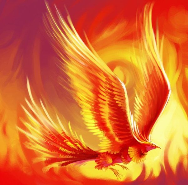 Феникс Анка