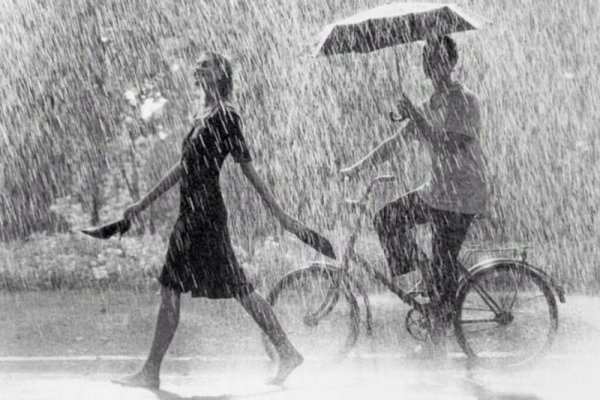 Прогулка под летним дождем