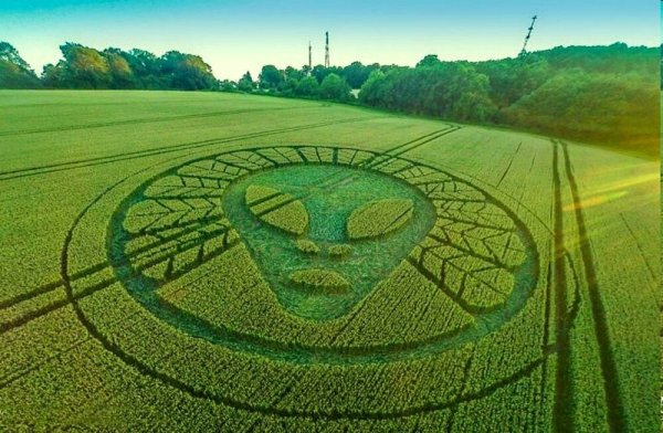 Таинственные круги на полях в Великобритании