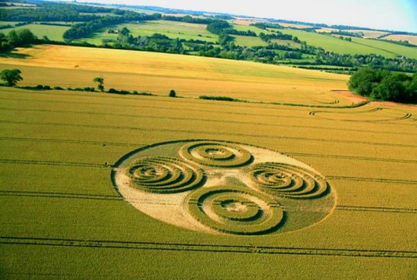 Загадочные кольца на полях