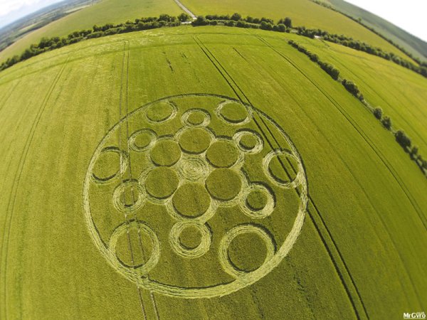 Появление кругов на полях