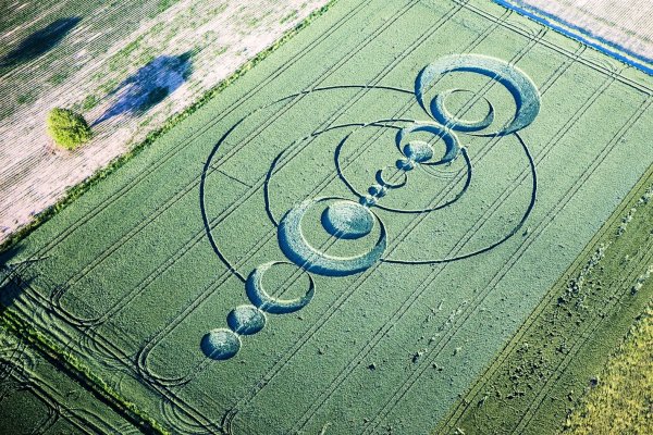 Круги на полях огромные