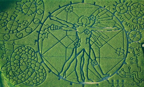 Инопланетные знаки на полях