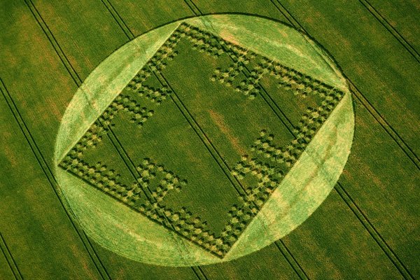 Круги на полях 1960