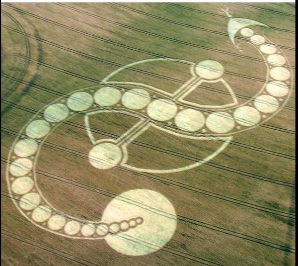 Колин Эндрюс круги на полях