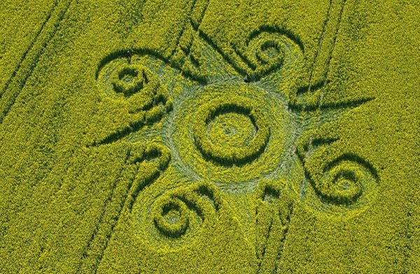 Узоры инопланетные на полях