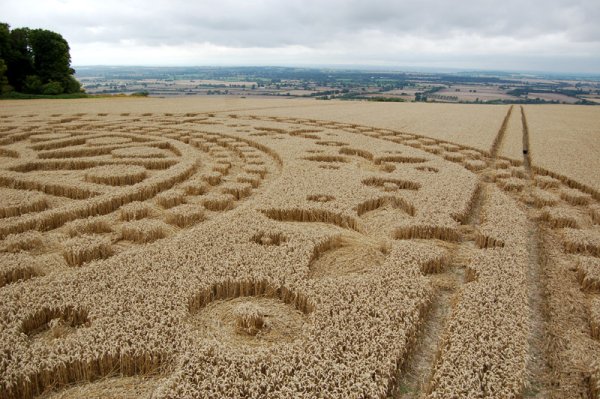 Загадочные круги на полях