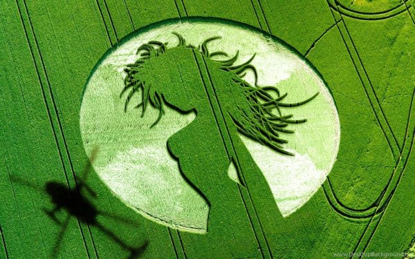 Круги на полях инопланетяне