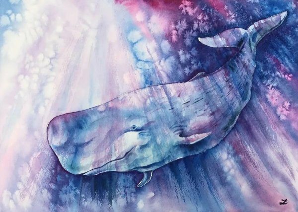 Кашалот акварель
