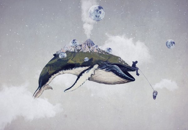 Кит в небе акварель