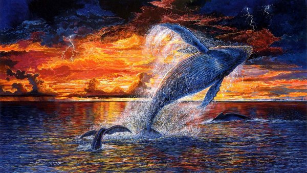 Дельфины акварелью