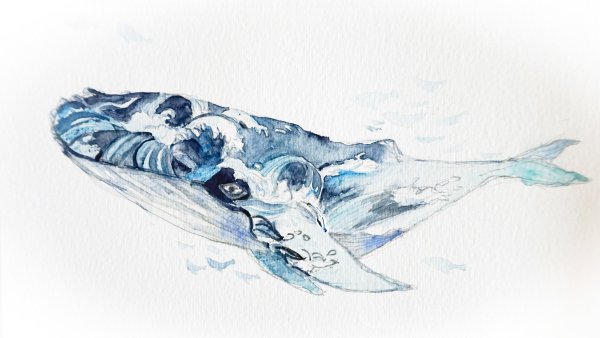 Космический кит акварелью