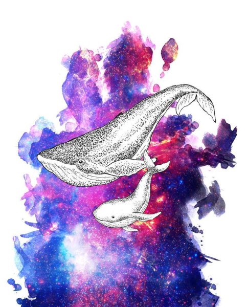 Влюбленные киты