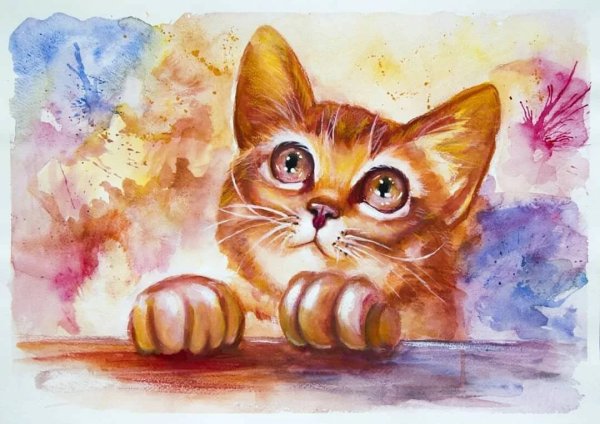 Котенок рисунок