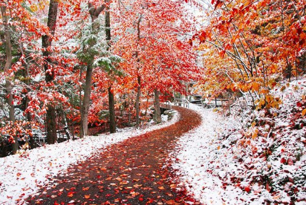 Снежная осень