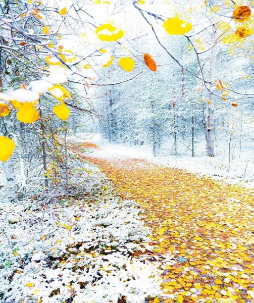 Встреча осени и зимы