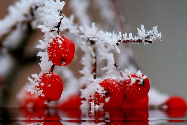 В ожидании зимы