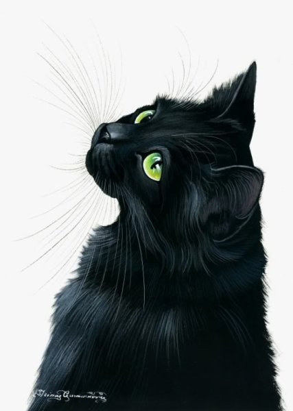 Чёрный кот арт