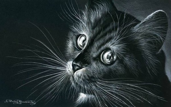 Ирина Гармашова художник