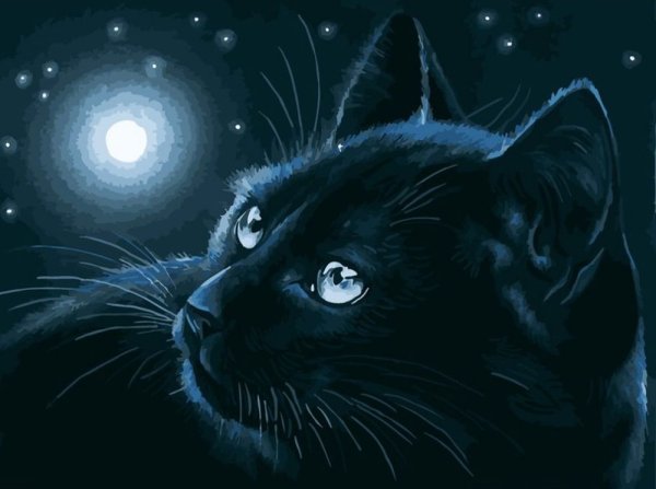 Картины Ирина Гармашова черные коты